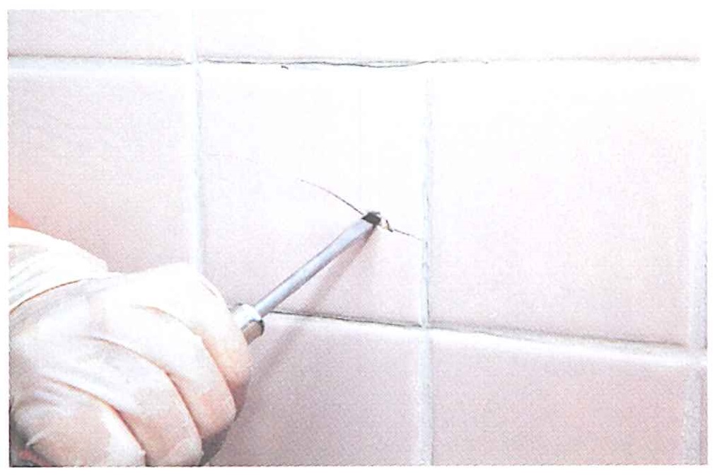 浴室壁の補修｜タイル・目地・モルタル壁